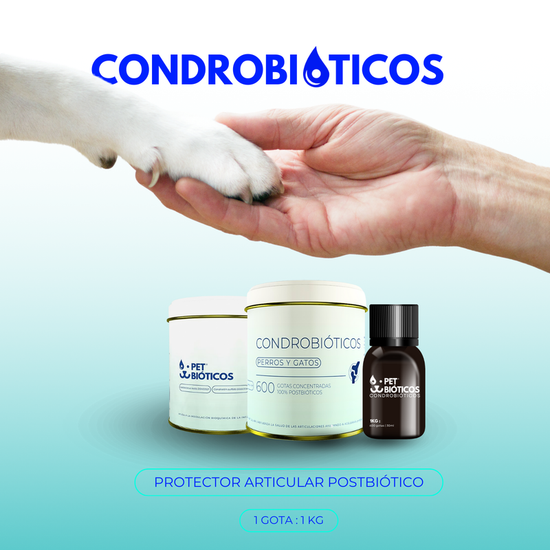 Mejor condroprotector para gatos y perros