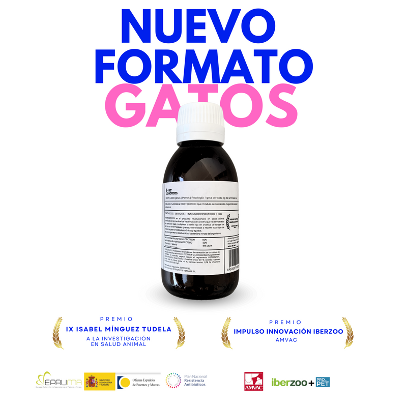 FORTEBIÓTICOS GATO 2000 GOTAS | 100 ML