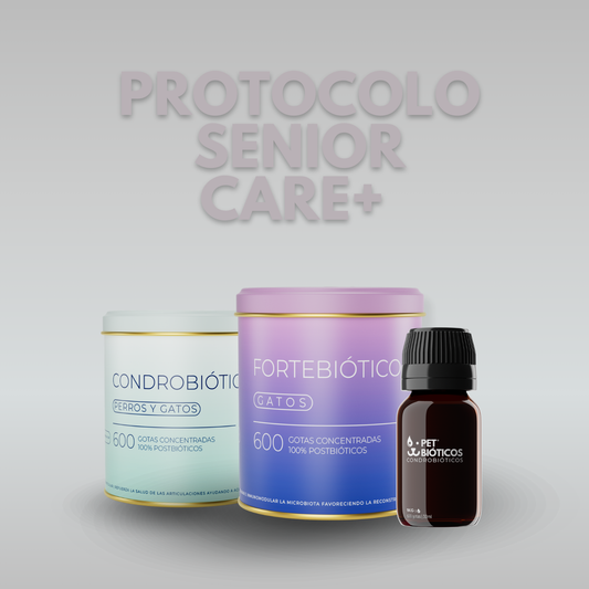 Protocolo SENIOR CARE+