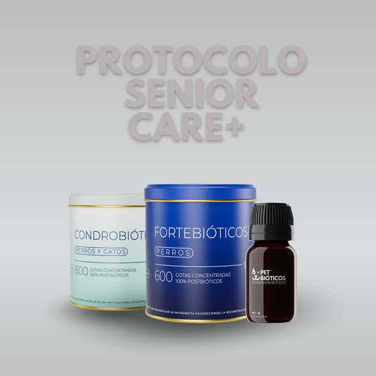 Protocolo SENIOR CARE+